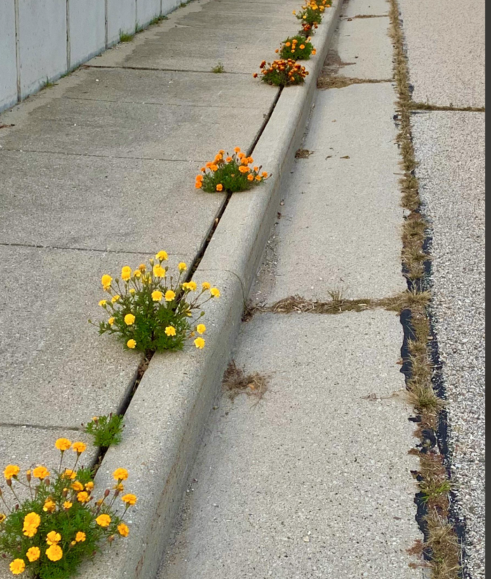 With Hope and Intention