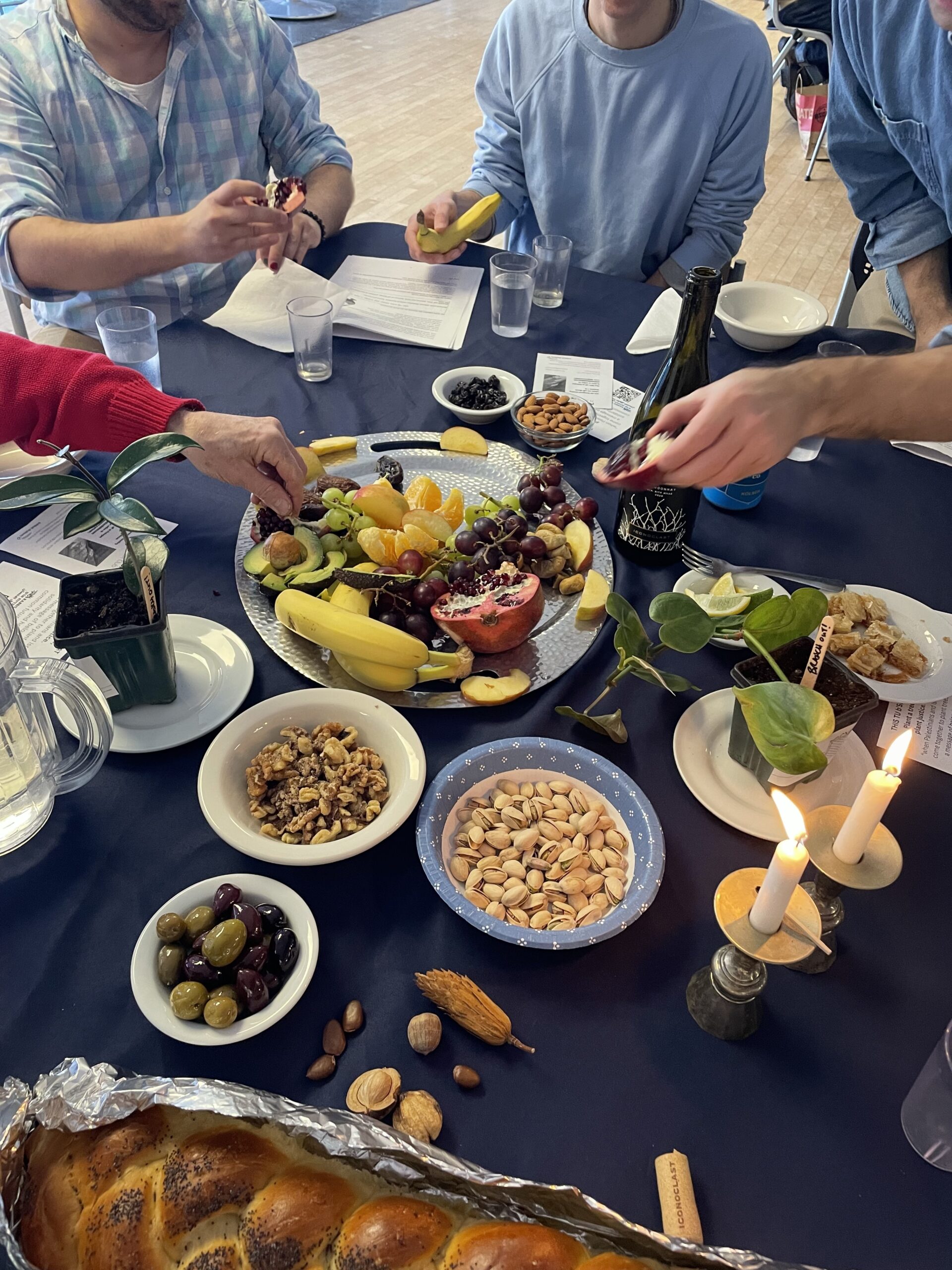 Stand Up, Branch Out: Living in Alignment with the Trees